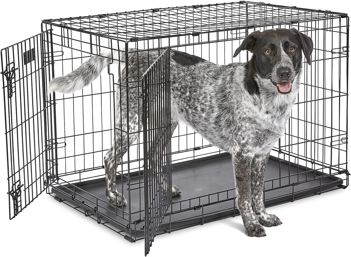 Crate With Divider